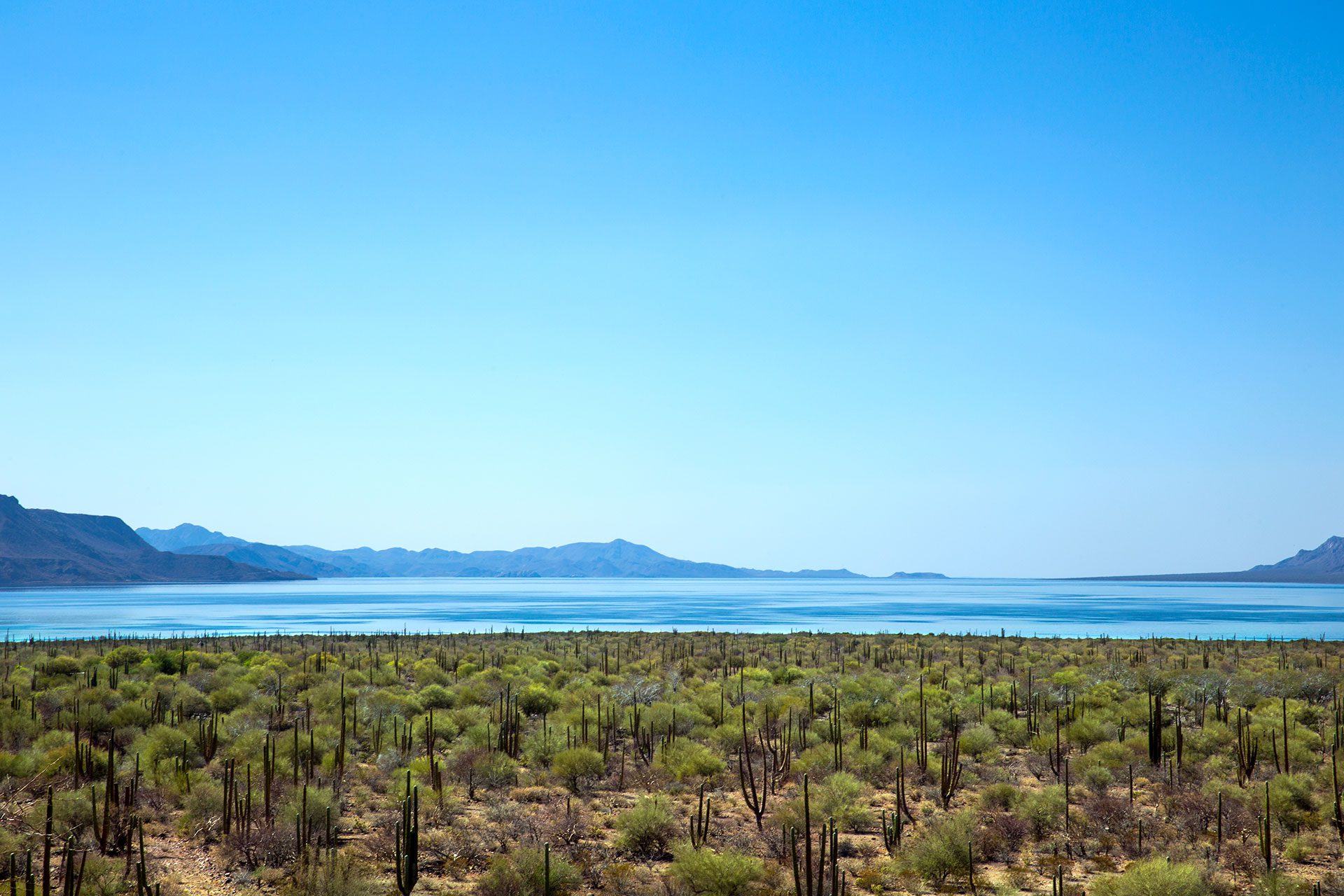 Christine Bozza Itinérances Basse Californie 6691