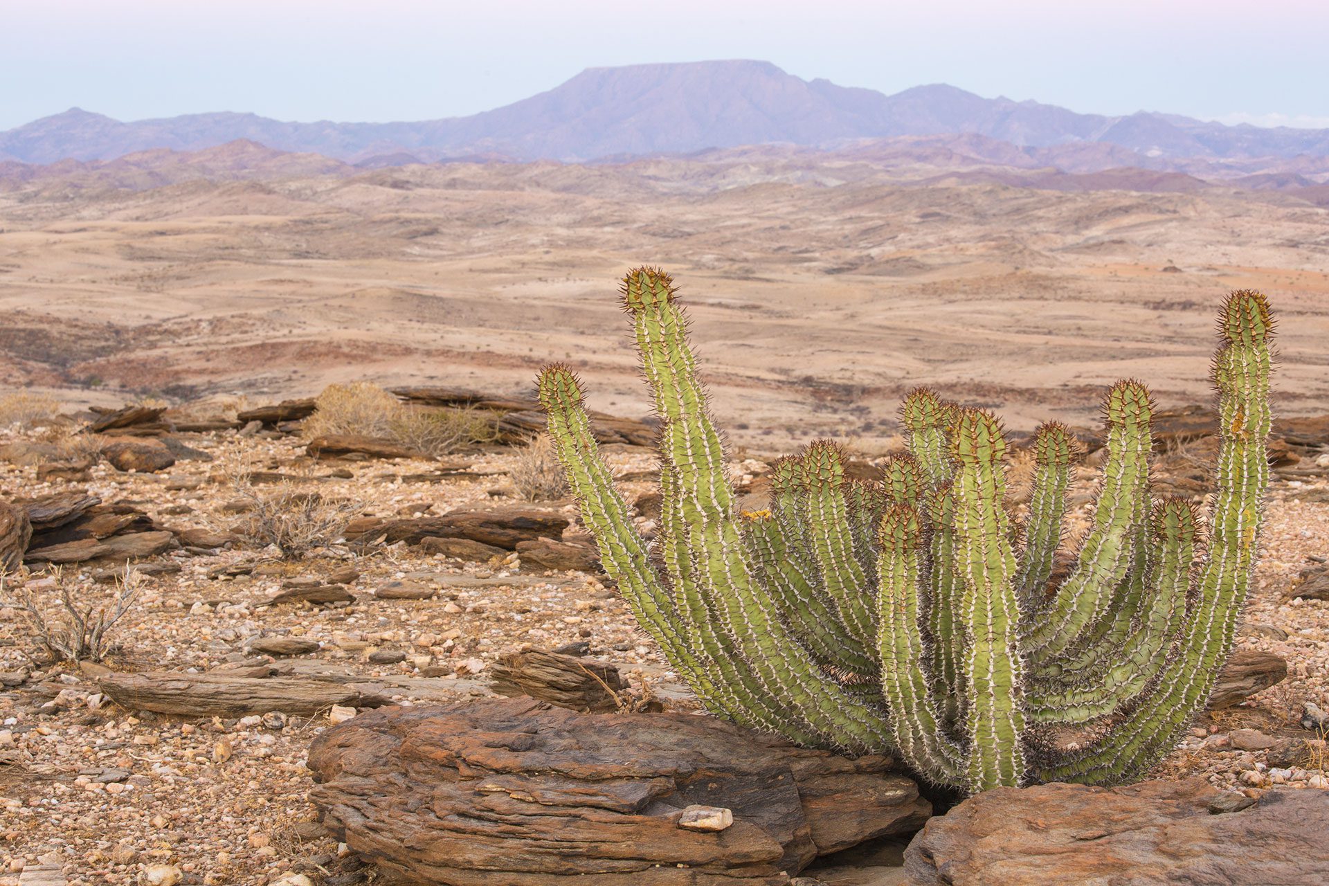 Christine Bozza Itinérances Paysages Namibie 299
