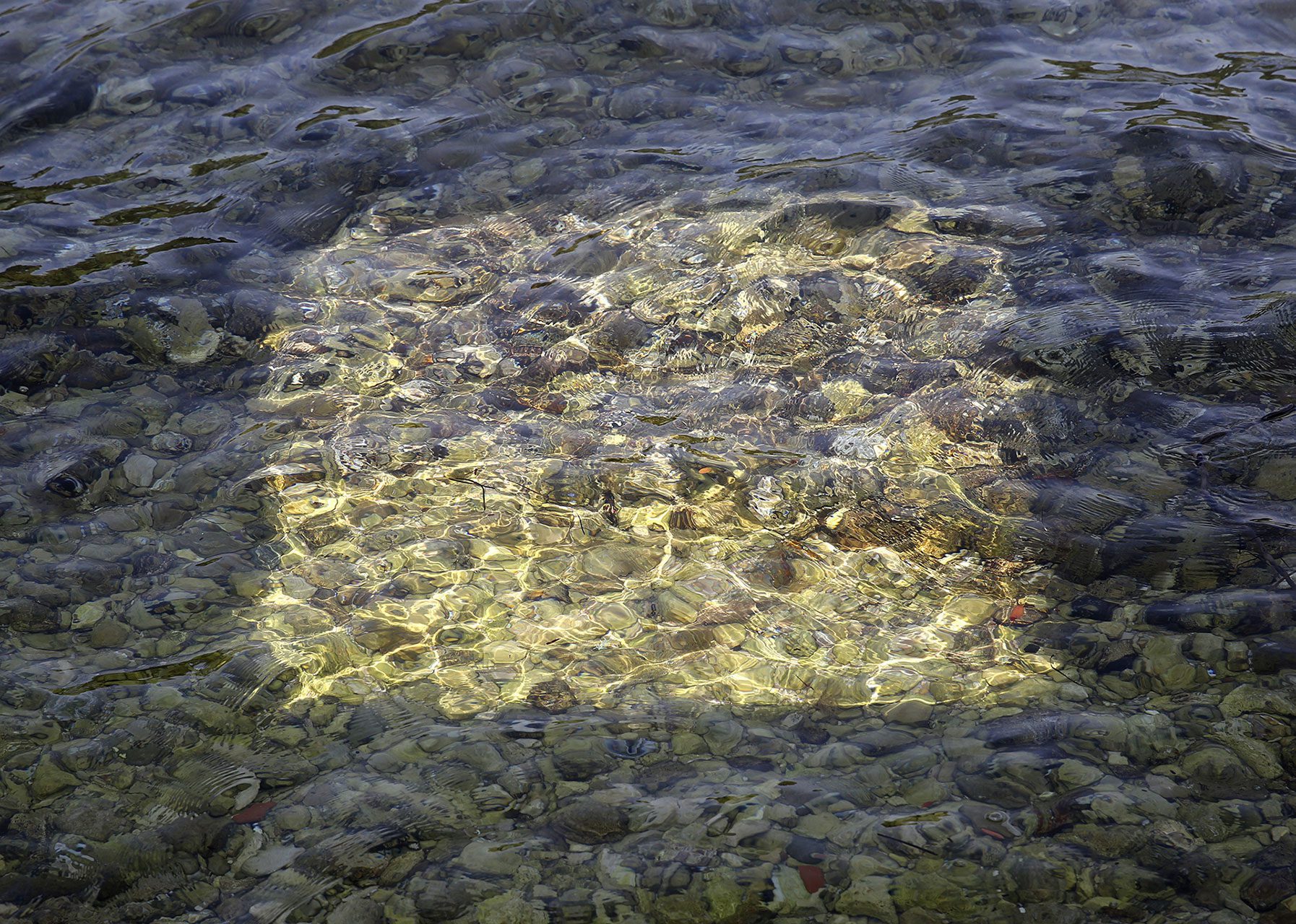Christine Bozza Méditation Aquatique Croatie