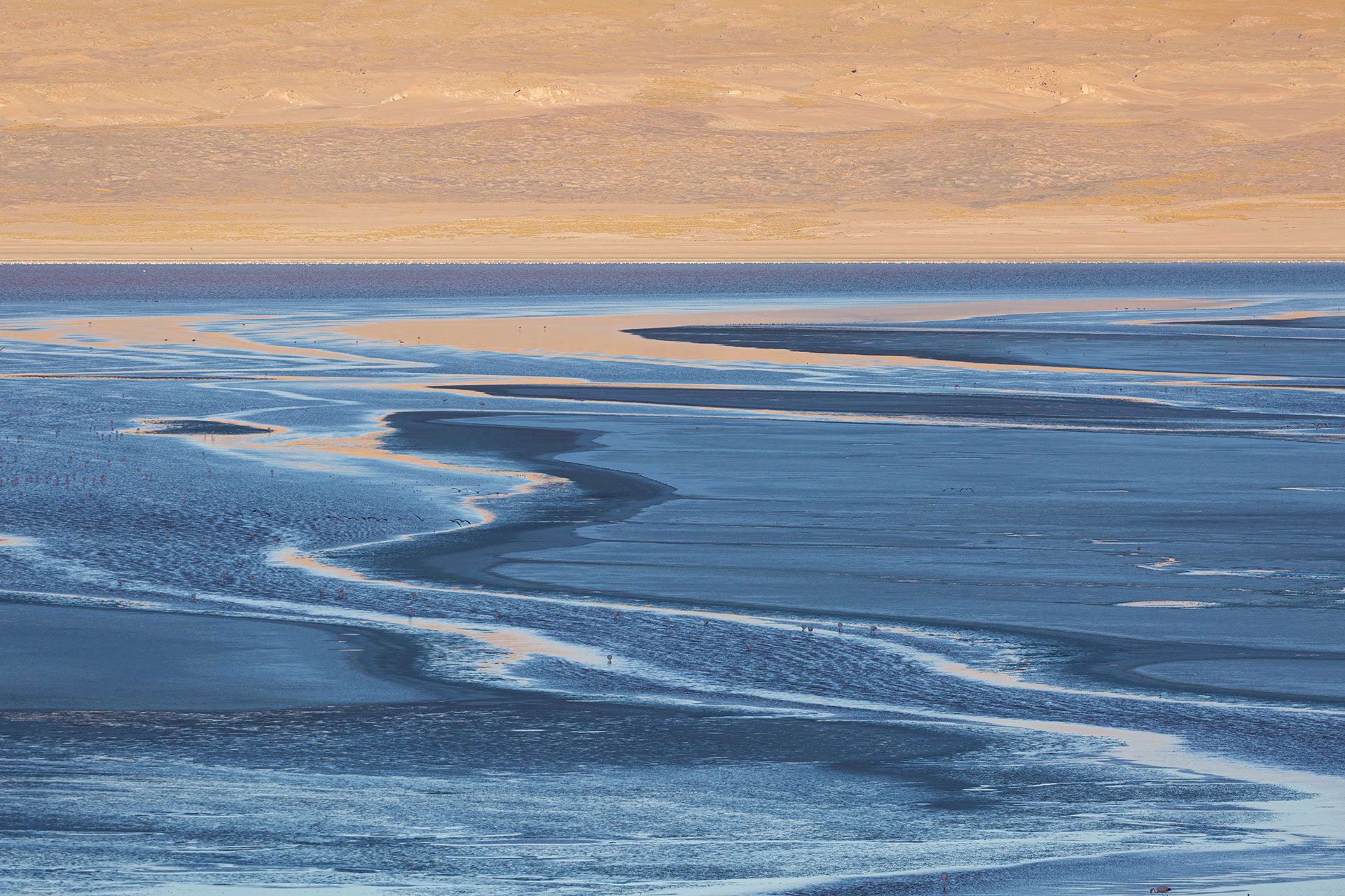 Christine Bozza Terre de couleurs Altiplano Bolivie 7265